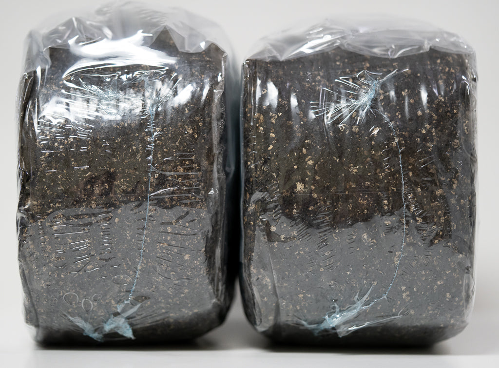 Sterilized Mushroom Substrate - Ready to inoculate