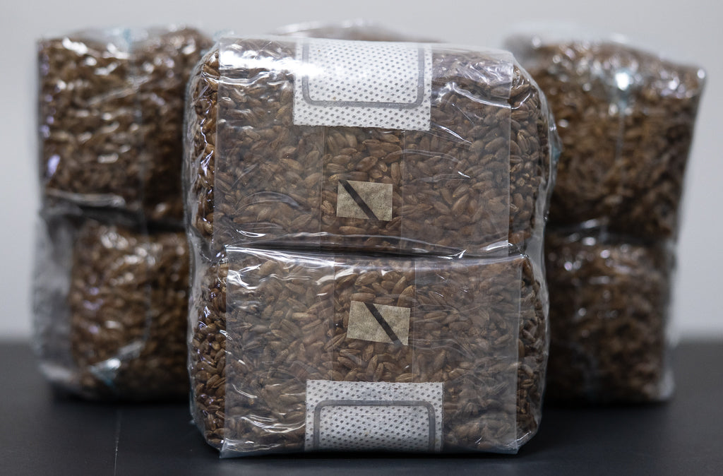 Sterile Rye Grain Mushroom Substrate Grow Bags