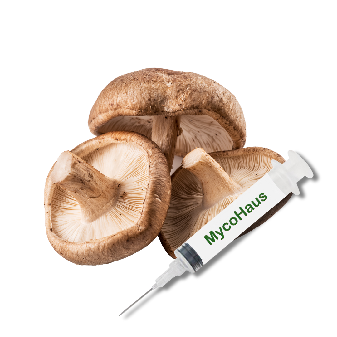 Shiitake Liquid Culture Syringe