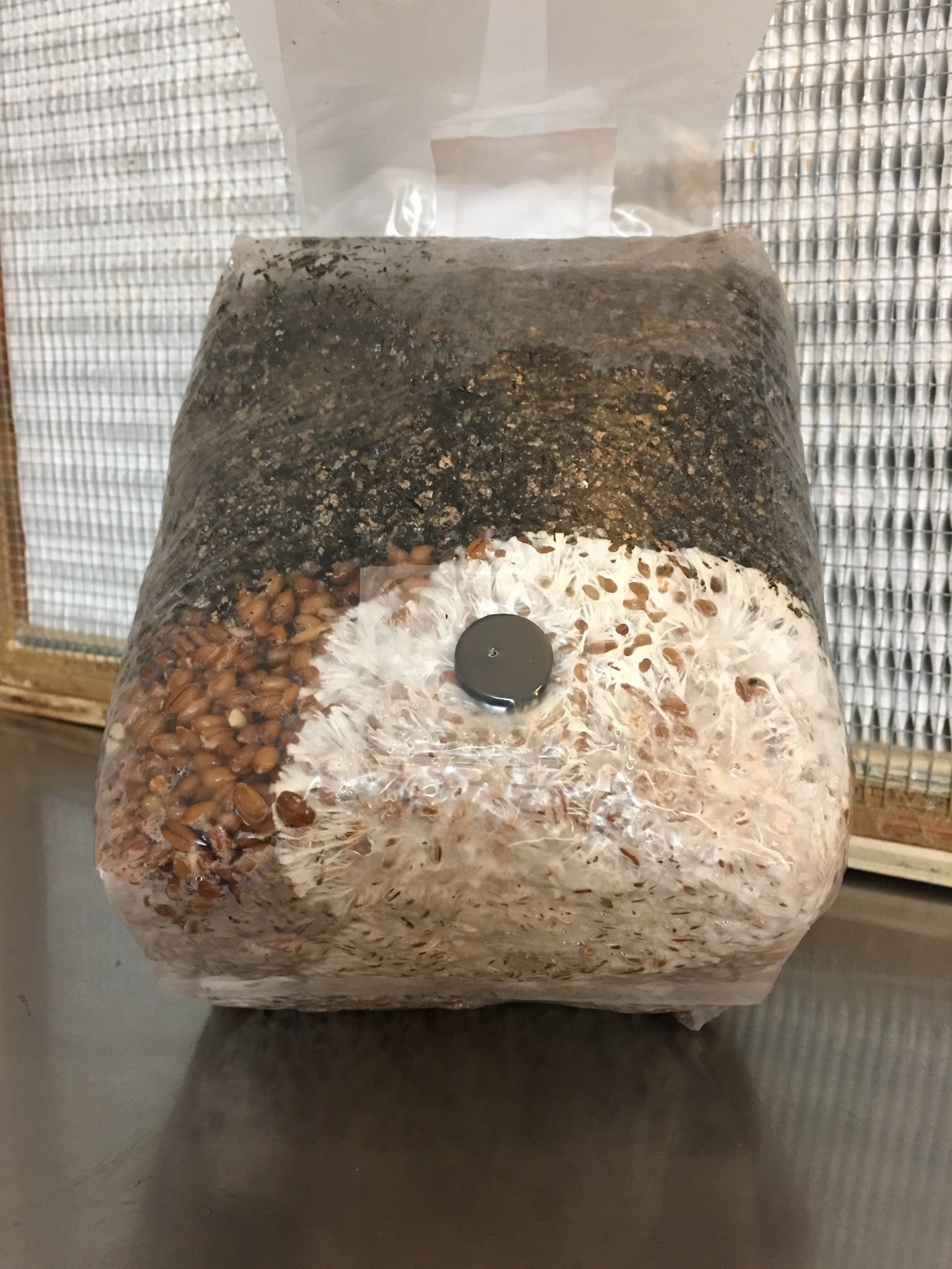 The Mushroom Grow Bag, All-in-one