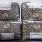 front view of four bags to show sterilize tape trigger