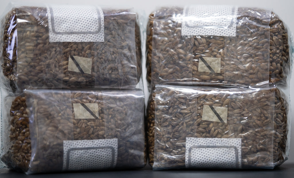 front view of four bags to show sterilize tape trigger