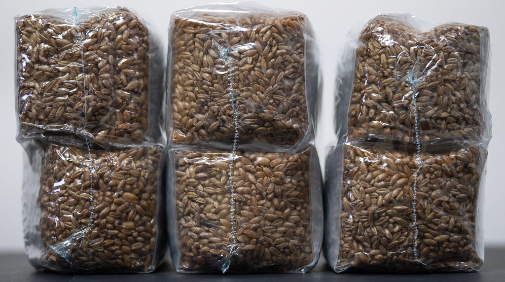 side view of one pound sterilized rye grain six bags to show size