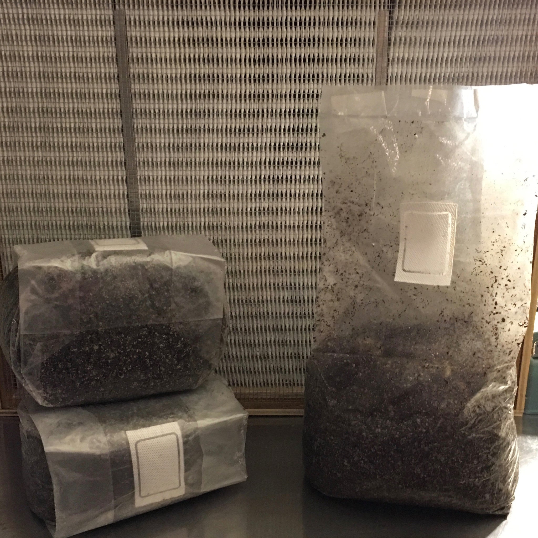 10 Pounds Sterile Bulk Mushroom Substrate Compost Mix With 0.5 Filter ...